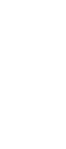 shape-2